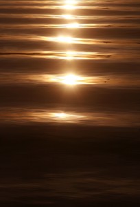God has a wonderful future for you! Are you willing to cooperate with Him?